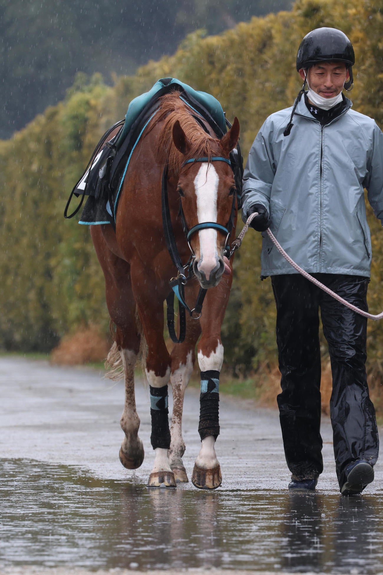 雨降る中、運動するバウンシーステップ