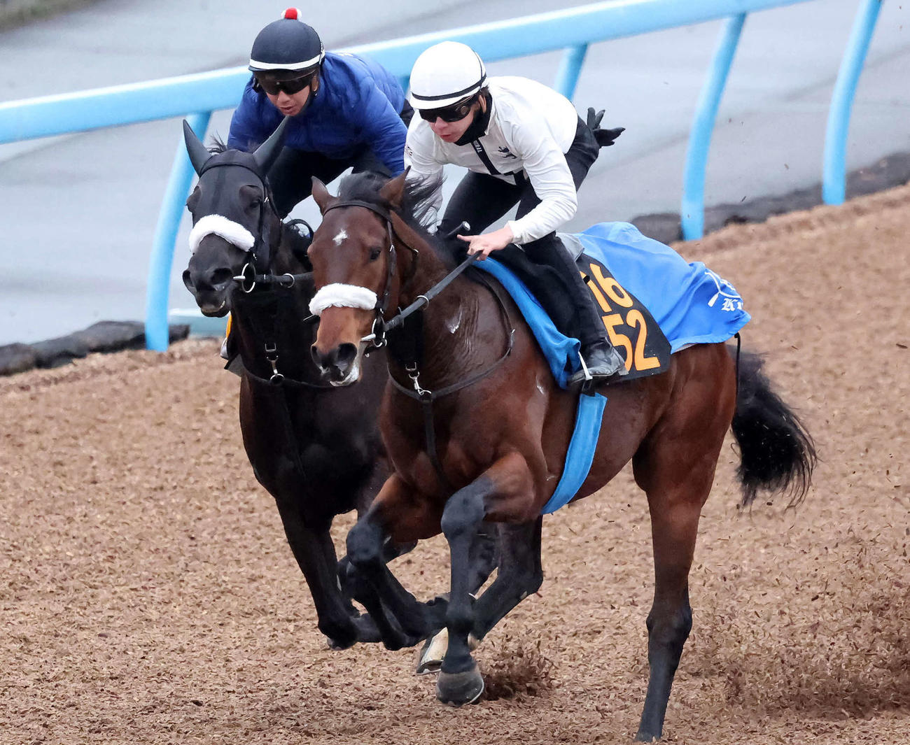フィアスプライド（左）は美浦ウッドを併せ馬で追い切られた（撮影・丹羽敏通）