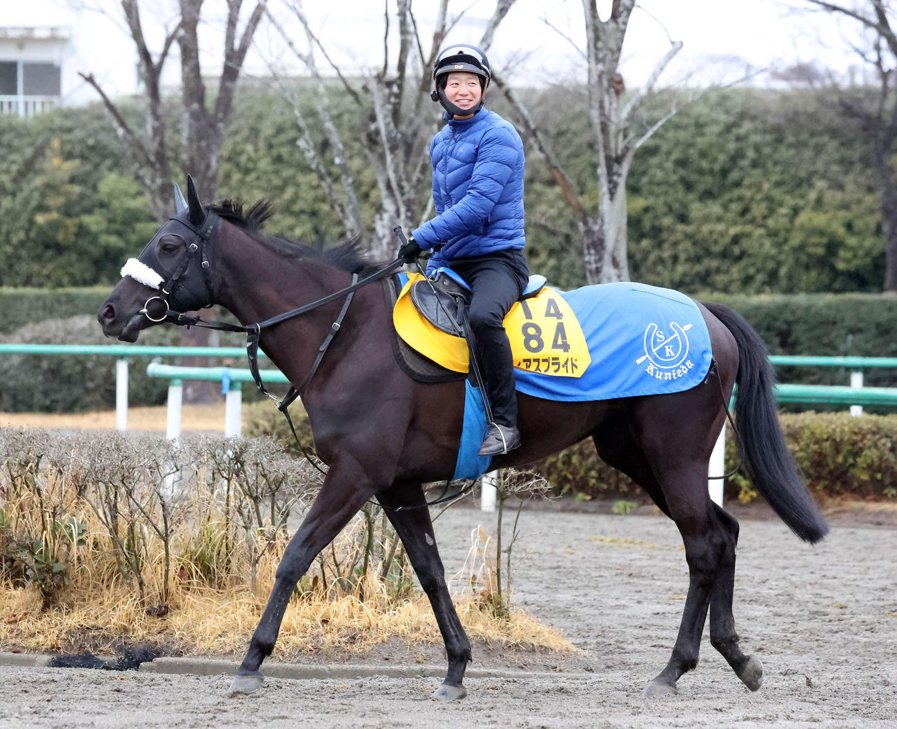 馬場へ向かうフィアスプライド（撮影・丹羽敏通）