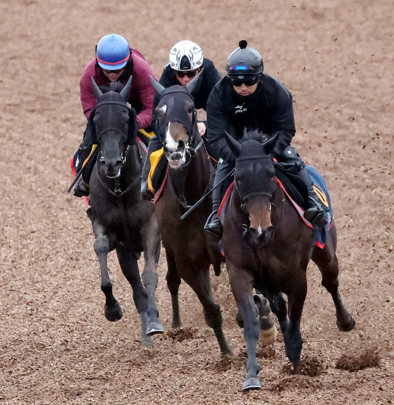 ヒップホップソウル（中央）は北村宏騎手を背に美浦ウッドを3頭併せで追い切られた（撮影・丹羽敏通）