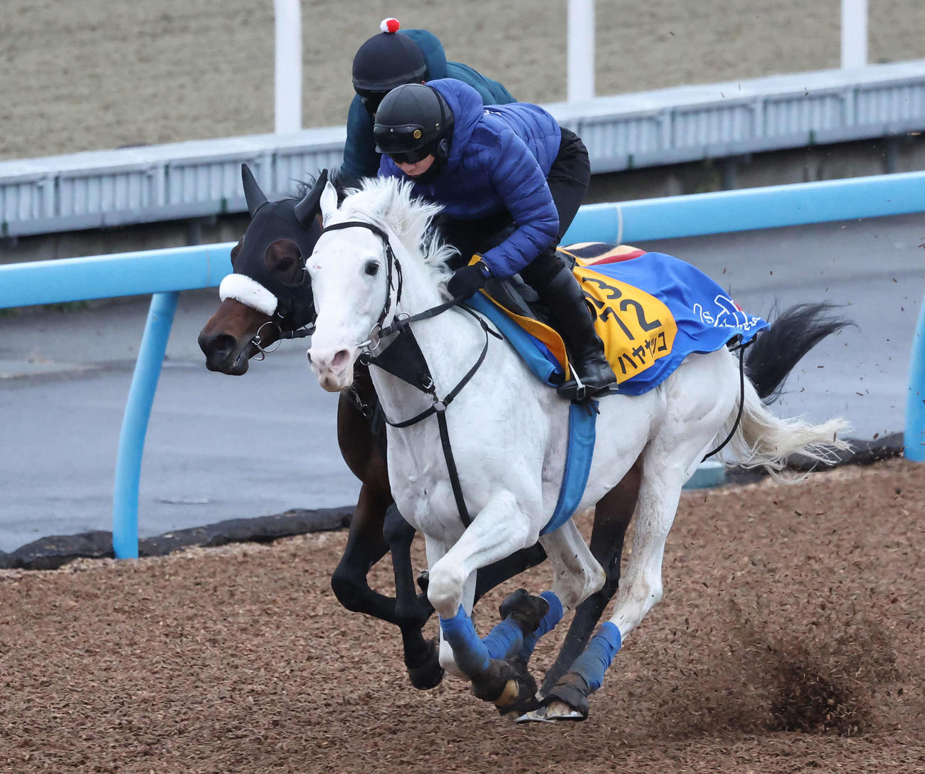 ハヤヤッコは美浦ウッドを併せ馬で追い切られた（撮影・丹羽敏通）