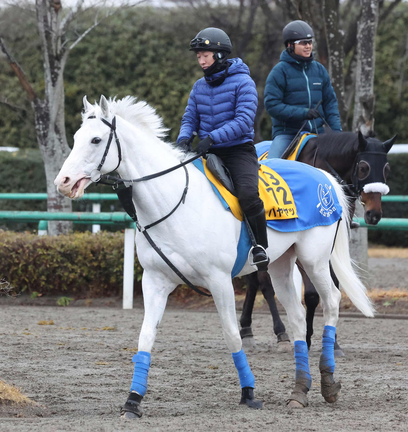 馬場へ向かうハヤヤッコ（撮影・丹羽敏通）