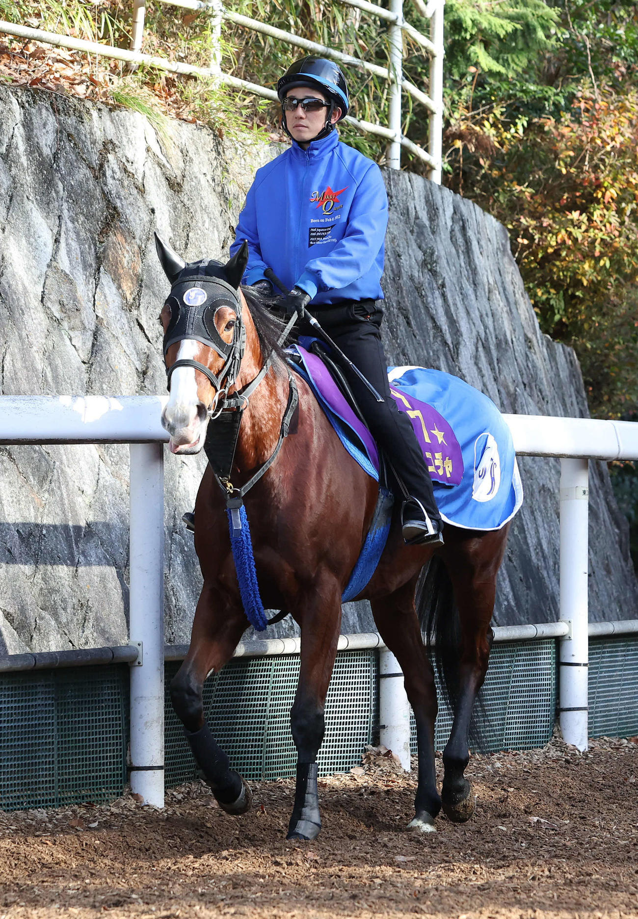 逍遥馬道で運動するママコチャ（2023年12月19日撮影）