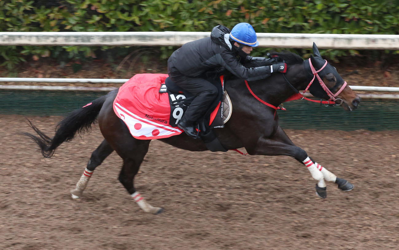 田中健騎手を背に坂路にて併せ馬で追い切るロゼフレア