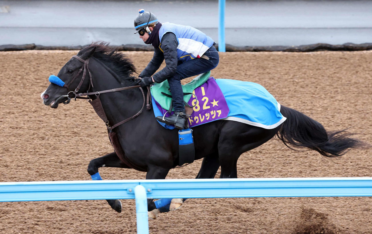 ドゥレッツァは美浦ウッドを単走で追い切られた（撮影・丹羽敏通）