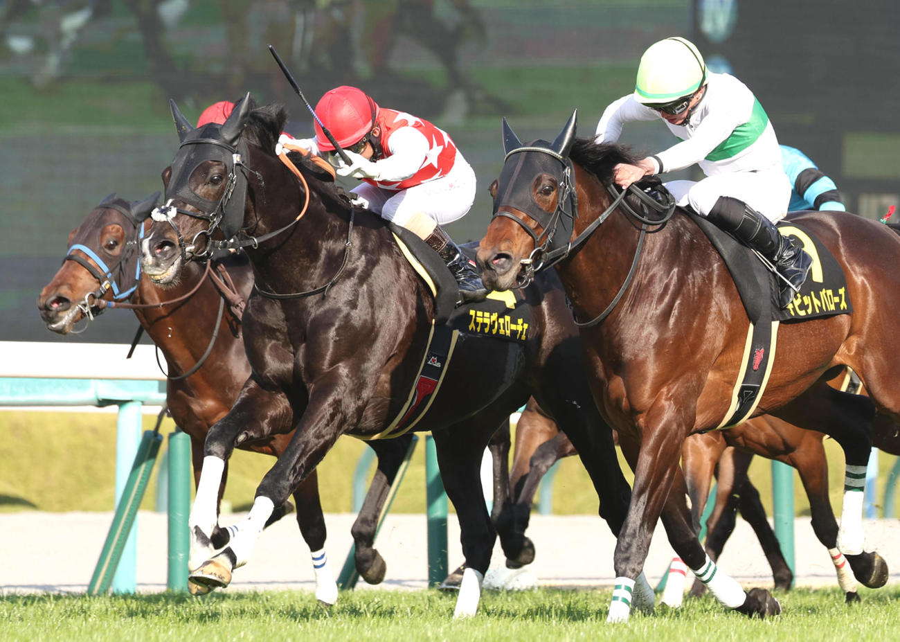 3日、大阪城Sを制したステラヴェローチェ（中央）