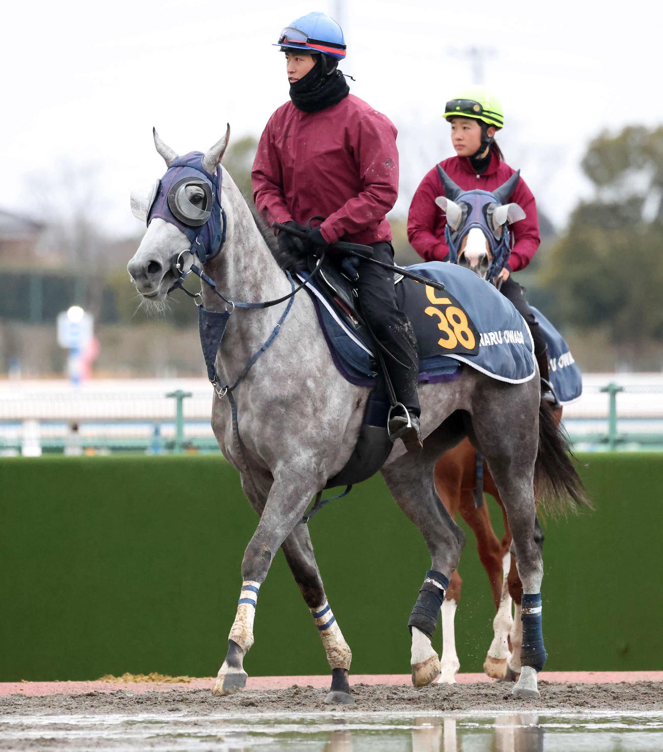 調教を終えて馬場を出るオメガウインクと杉原騎手（撮影・丹羽敏通）