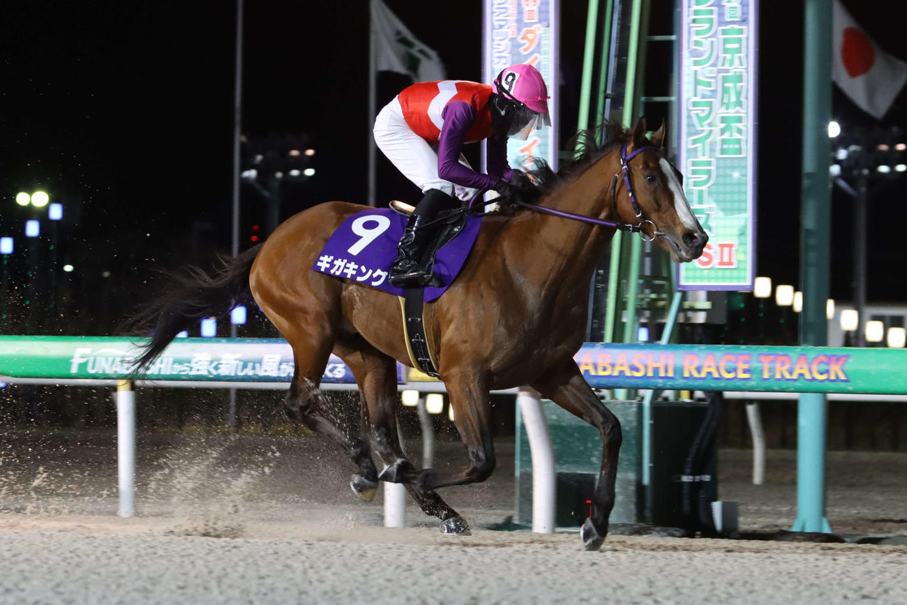直線で抜け出し京成盃グランドマイラーズを制したギガキングと和田譲治騎手