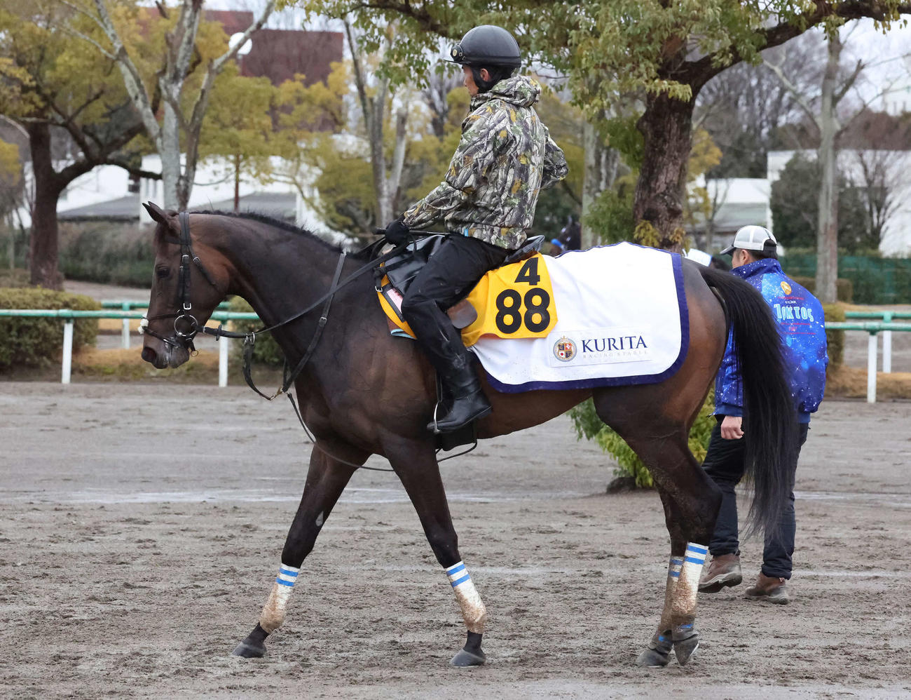24年3月6日、追い切りを終えて馬場を出るククナ