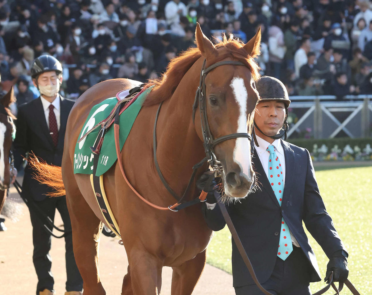 1月14日、京成杯2着に敗れたアーバンシック