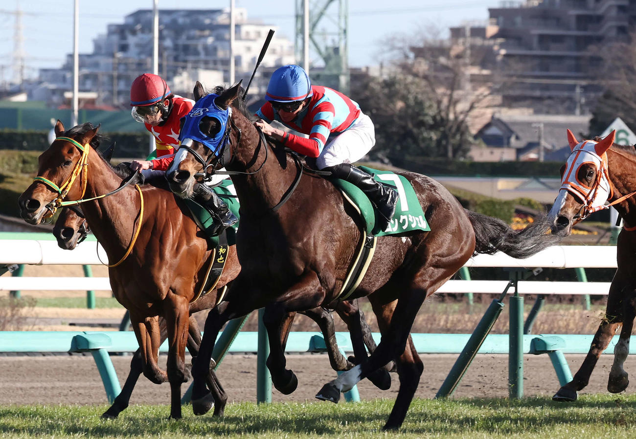 中山11R、中山牝馬Sを制したコンクシェルと岩田望騎手（右）。左は3着シンリョクカ（撮影・丹羽敏通）