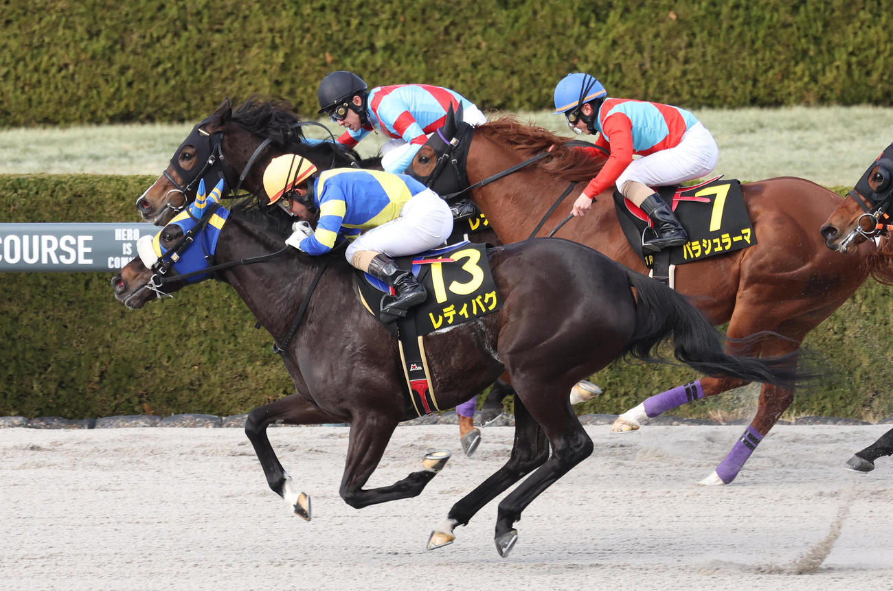 福永厩舎の初陣のレオノーレ（奥）を差し切ってコーラルSを制したレディバグ（撮影・白石智彦）