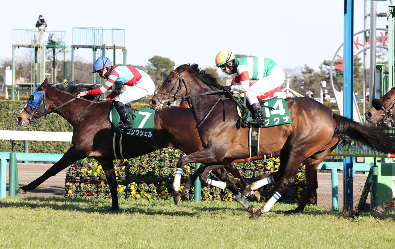 中山牝馬Sで2着でゴールしたククナと戸崎騎手（右）。左は勝ったコンクシェル（撮影・丹羽敏通）