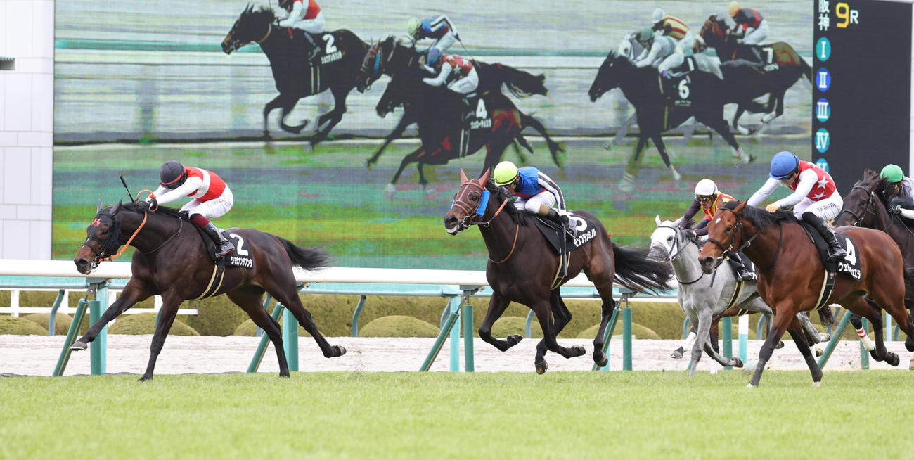 直線抜け出して、ゆきやなぎ賞を制したショウナンラプンタ（左）（撮影・白石智彦）