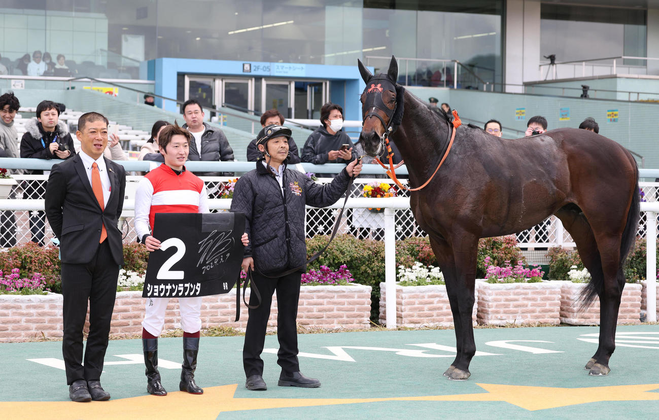 阪神9R、ゆきやなぎ賞を制したショウナンラプンタと口取りに並ぶ鮫島駿騎手（中央）（撮影・白石智彦）