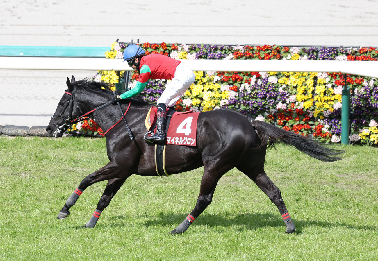9日、阪神スプリングJを制したマイネルグロンと石神深騎手