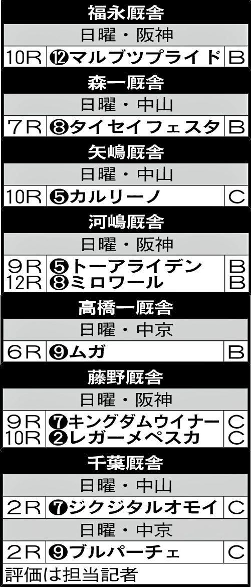 新規開業調教師・日曜日の出走馬