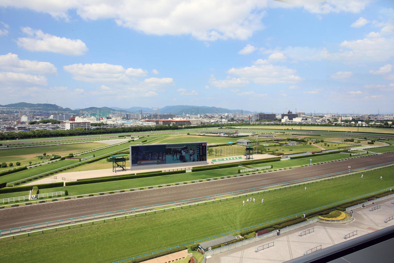 阪神競馬場全景