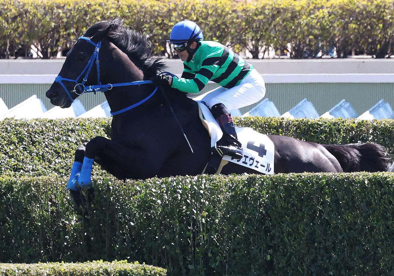 中山4R障害未勝利を制したブリエヴェールと石神深一騎手（撮影・丹羽敏通）