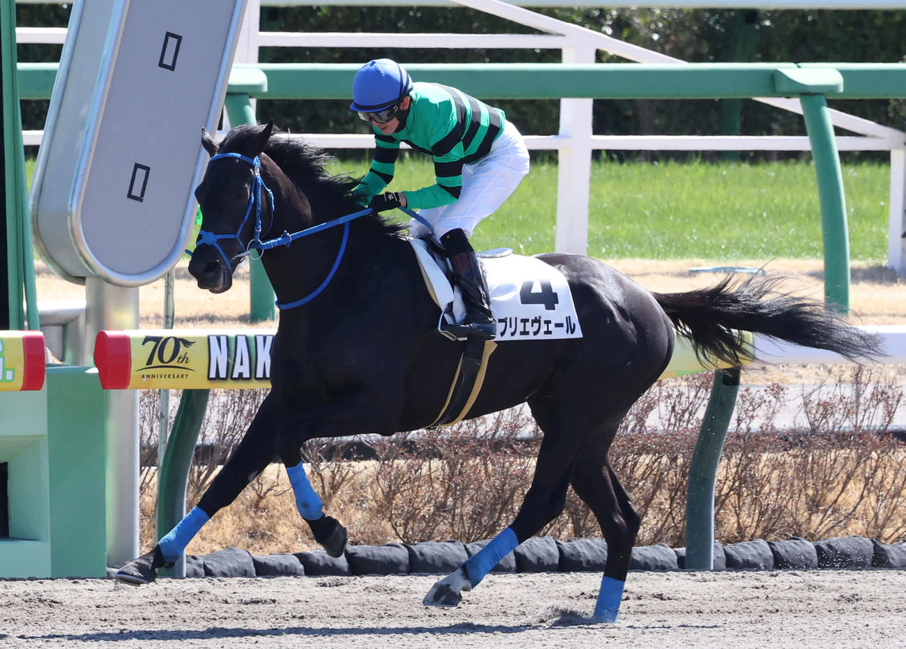 中山4R障害未勝利を制したブリエヴェールと石神深一騎手（撮影・丹羽敏通）
