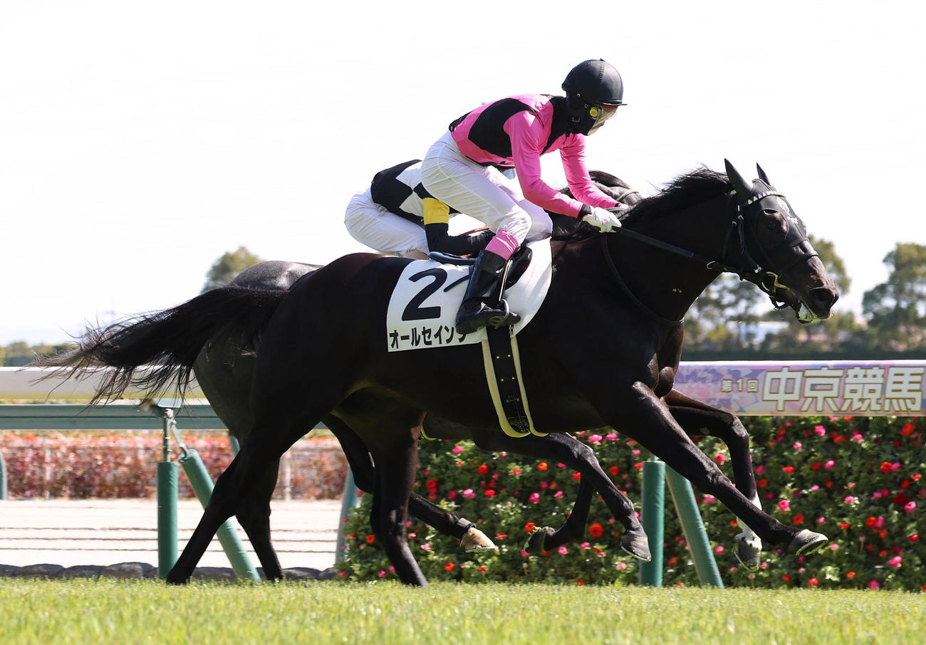 中京5R、3歳未勝利を勝ち上がったオールセインツ（撮影・白石智彦）