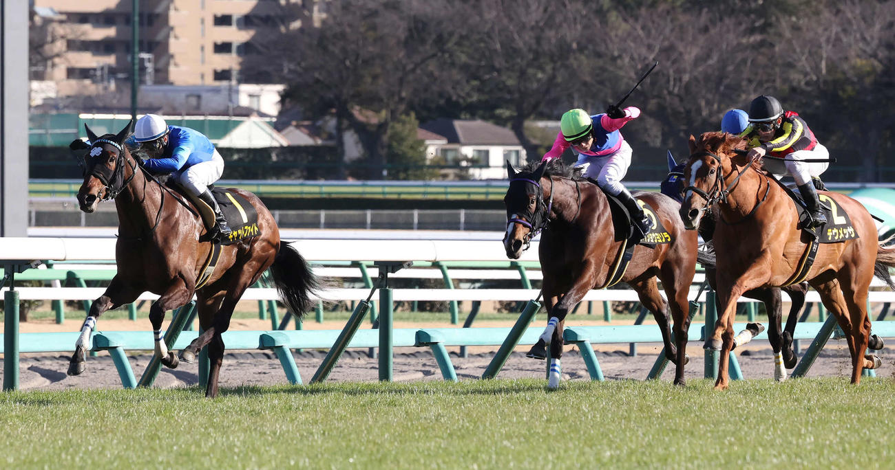 アネモネSを制したキャットファイトと大野騎手（左）。右は2着テウメッサ（撮影・丹羽敏通）