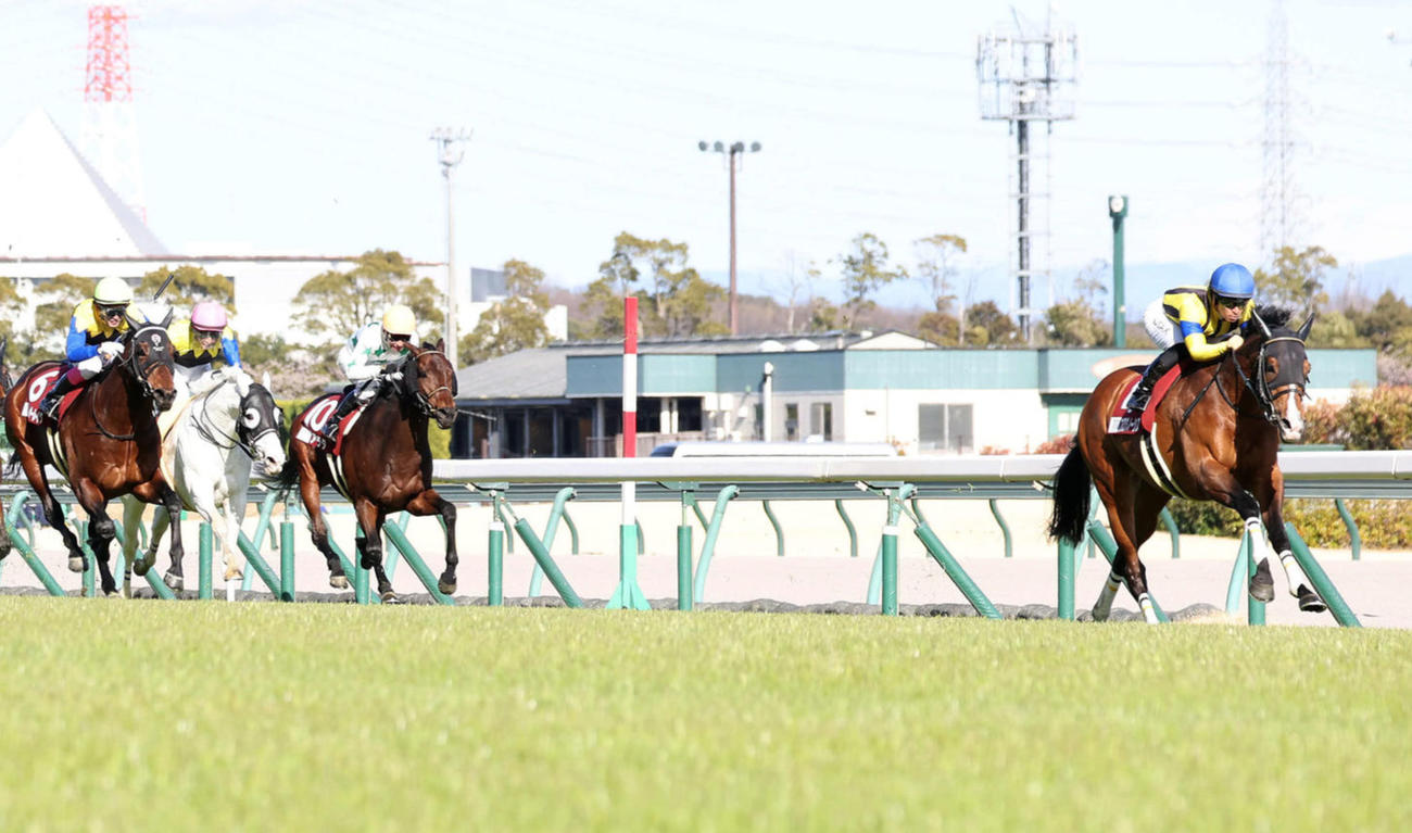 金鯱賞3着のヨーホーレイク（左端）。右は勝ったプログノーシス（撮影・白石智彦）