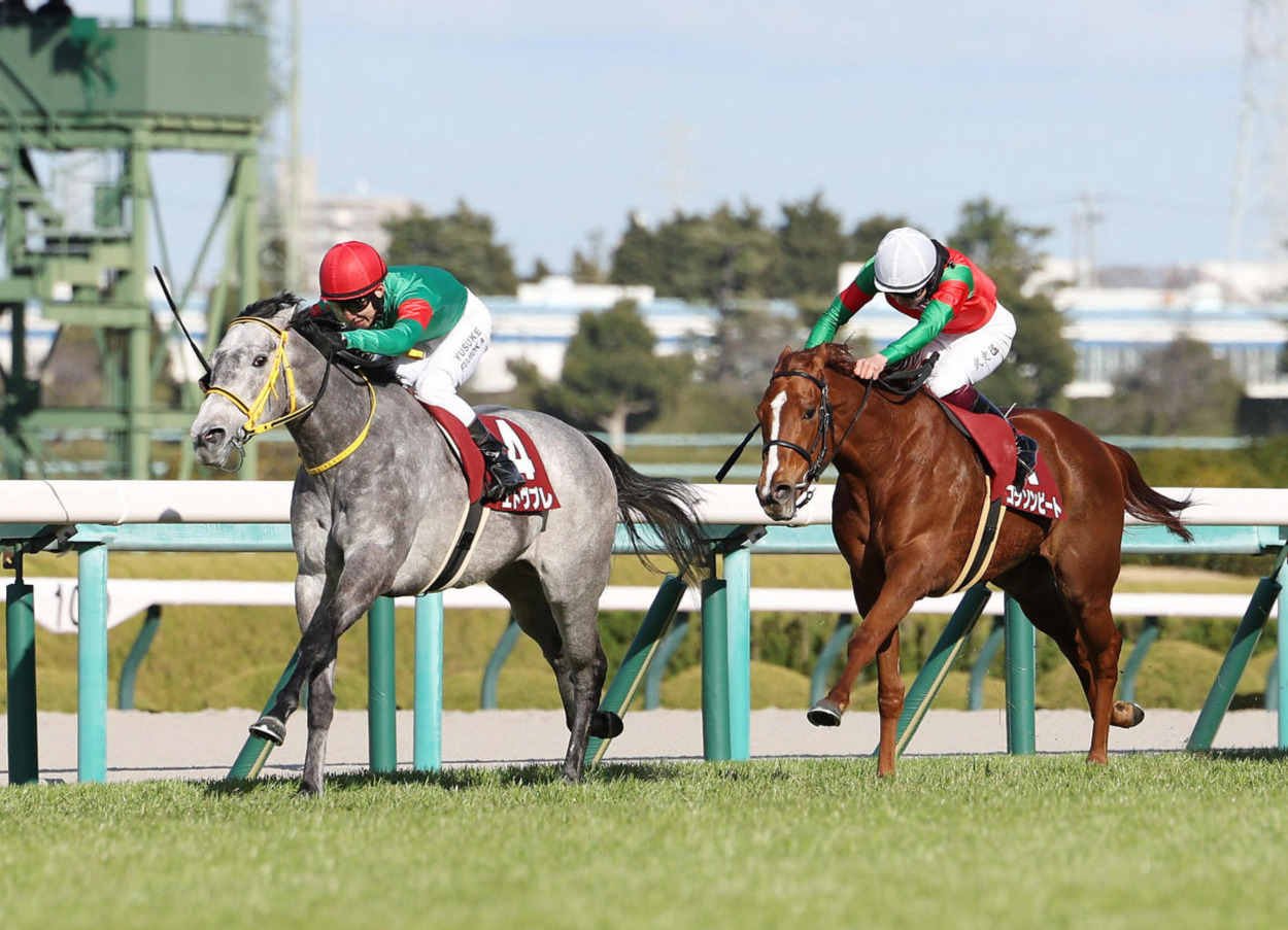 フィリーズR2着に敗れたコラソンビート（右）。左は勝ったエトヴプレ（撮影・前田充）