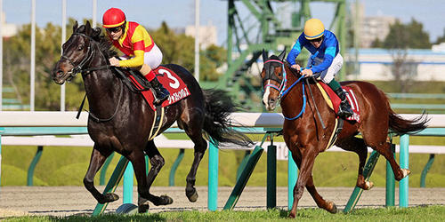 阪神大賞典を制したジャスティンパレスとC.ルメール騎手。右は4着のアフリカンゴールド（撮影・加藤哉）＝2023年3月19日、阪神競馬場