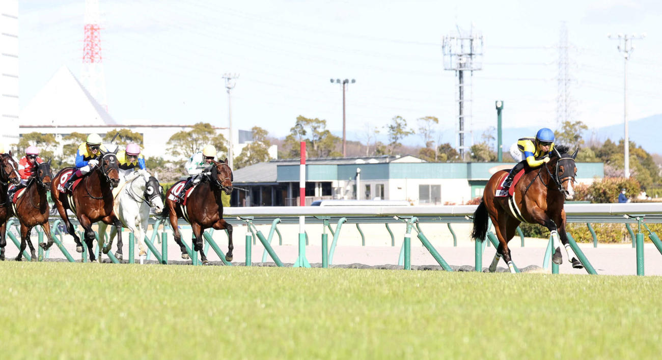 直線抜け出して金鯱賞を連覇したプログノーシス（右）（撮影・白石智彦）
