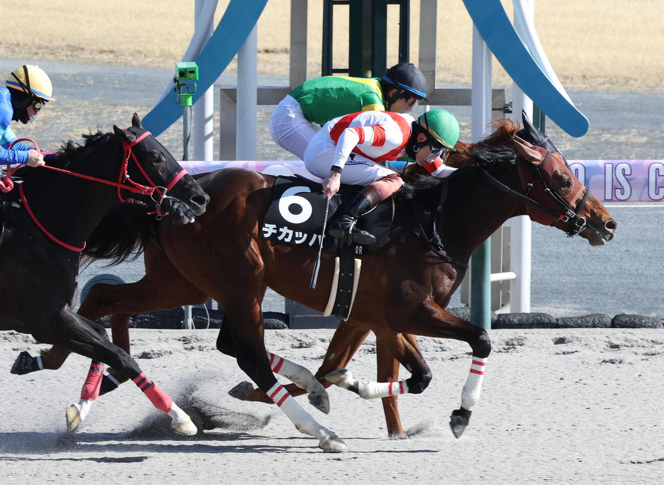 中京10R、ジョージテソーロ（奥）との競り合いを制して昇竜Sを勝利したチカッパ（撮影・白石智彦）