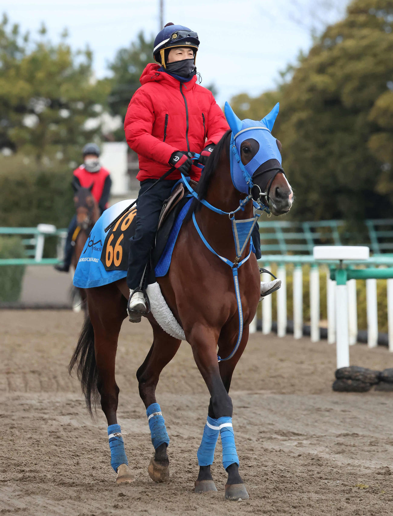 馬場へ向かうチャンネルトンネル（2024年3月7日撮影）