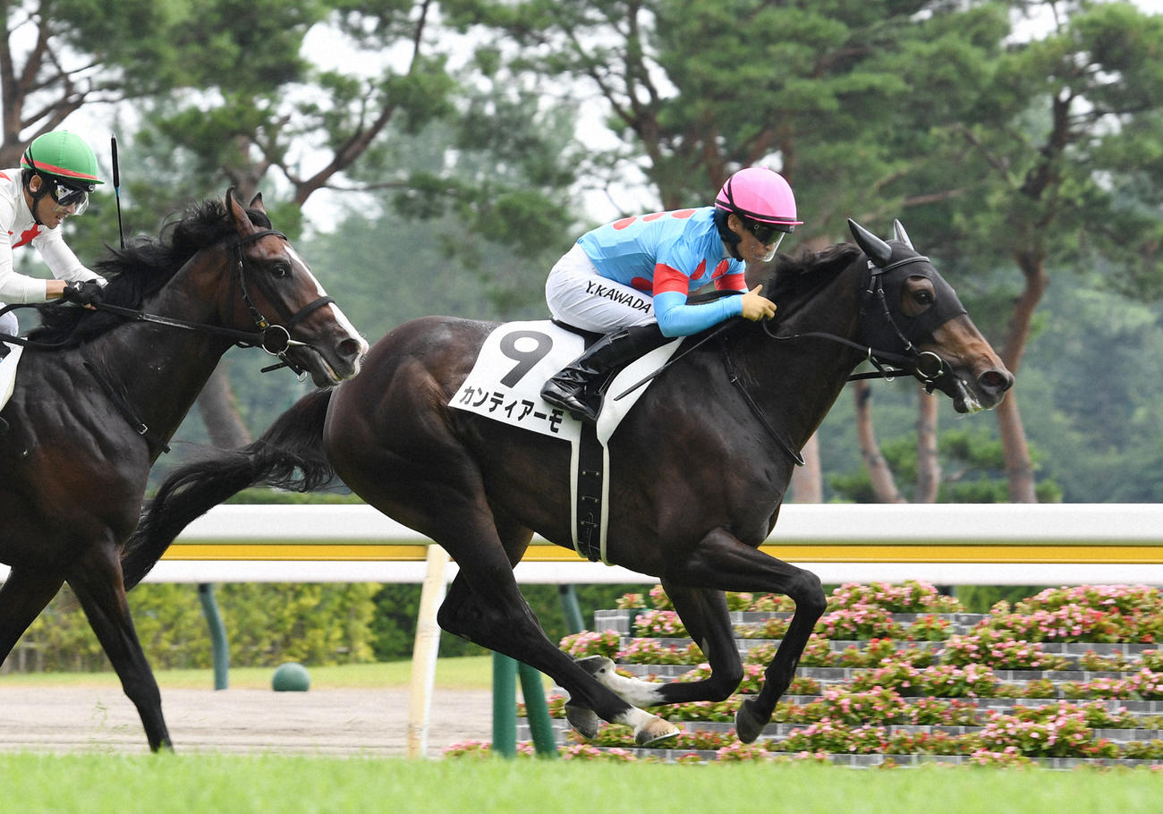 新馬戦を制したカンティアーモ（2023年7月撮影）
