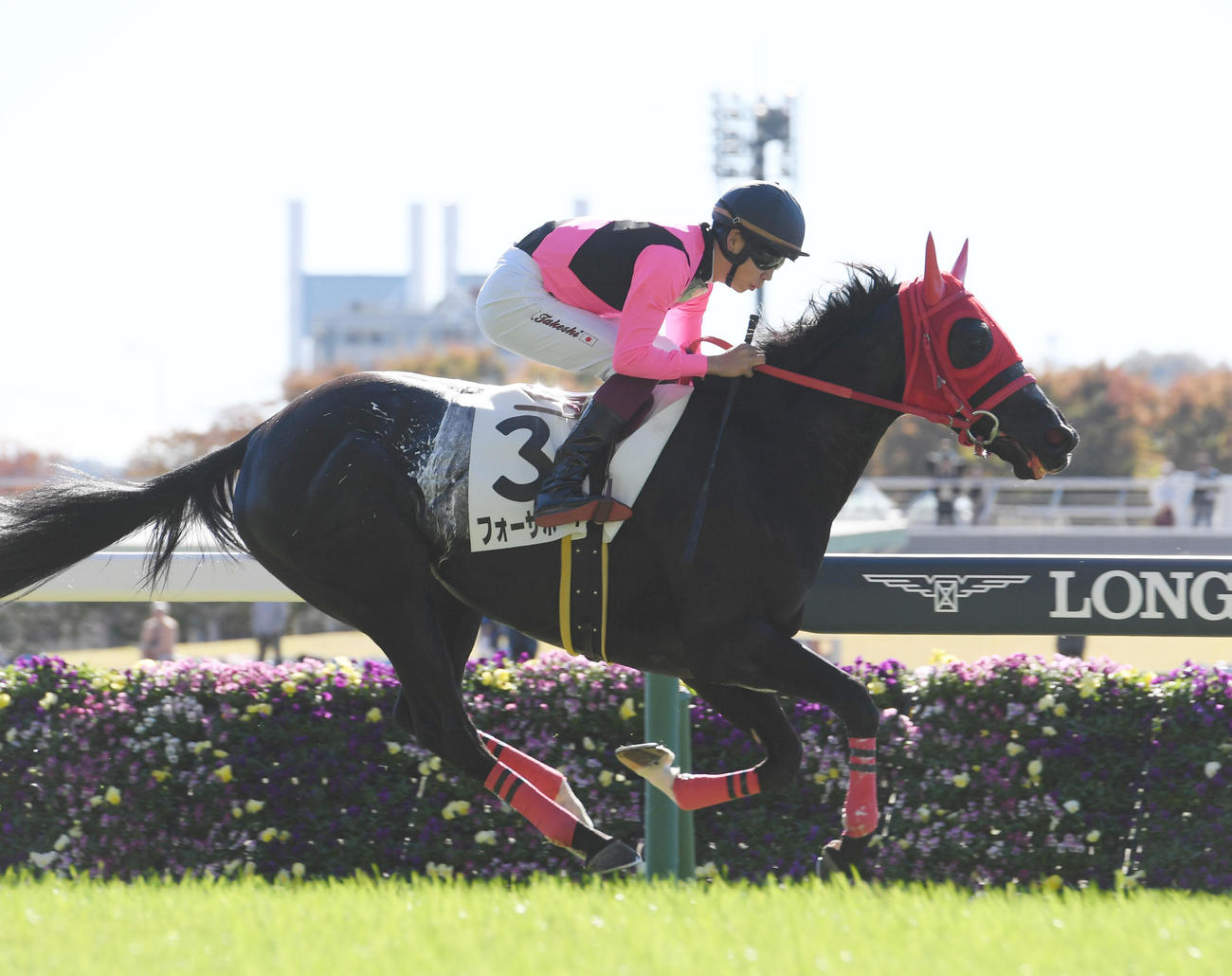 23年11月、未勝利戦を勝ち上がったフォーザボーイズ