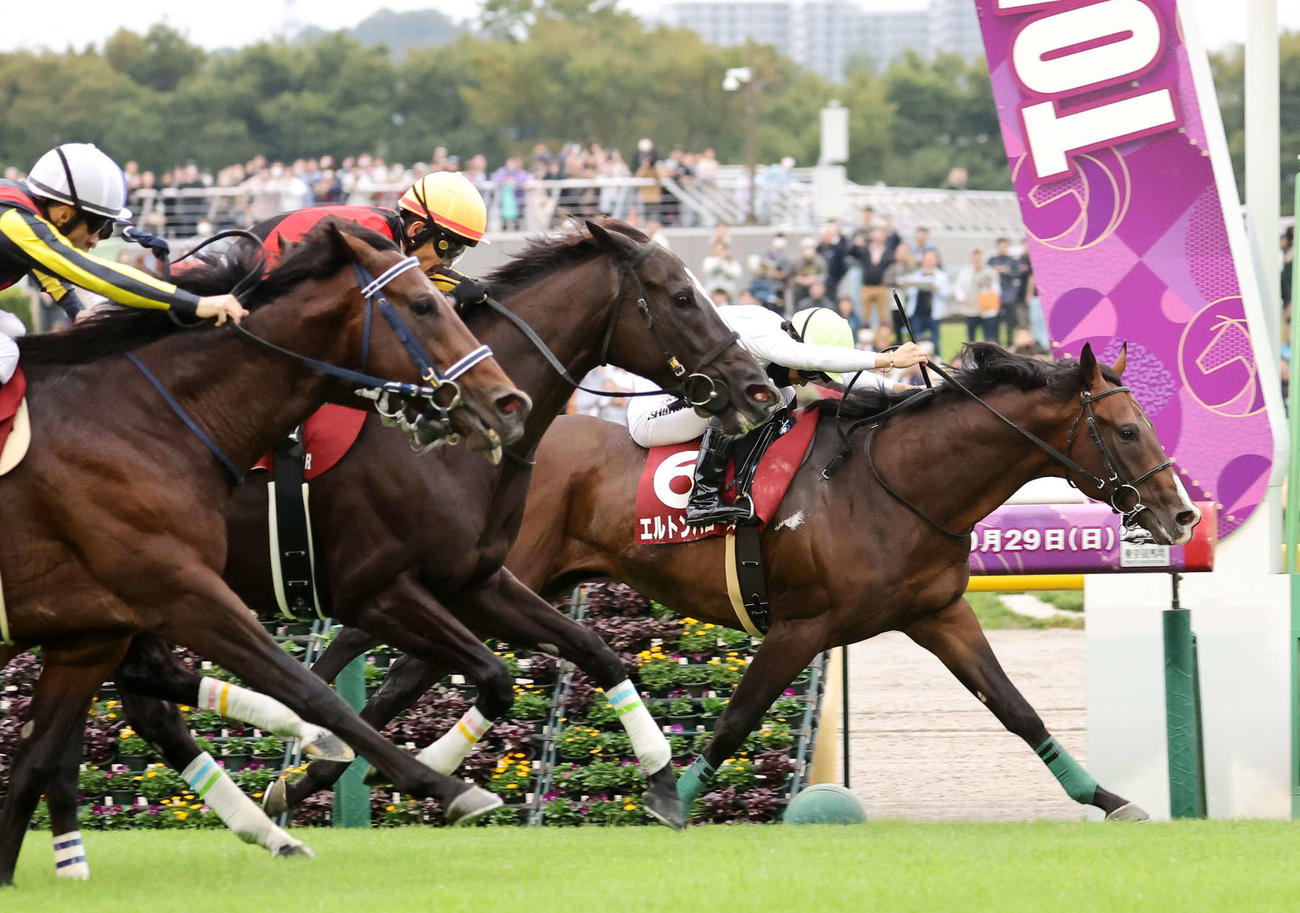 23年毎日王冠を制したエルトンバローズ（右）