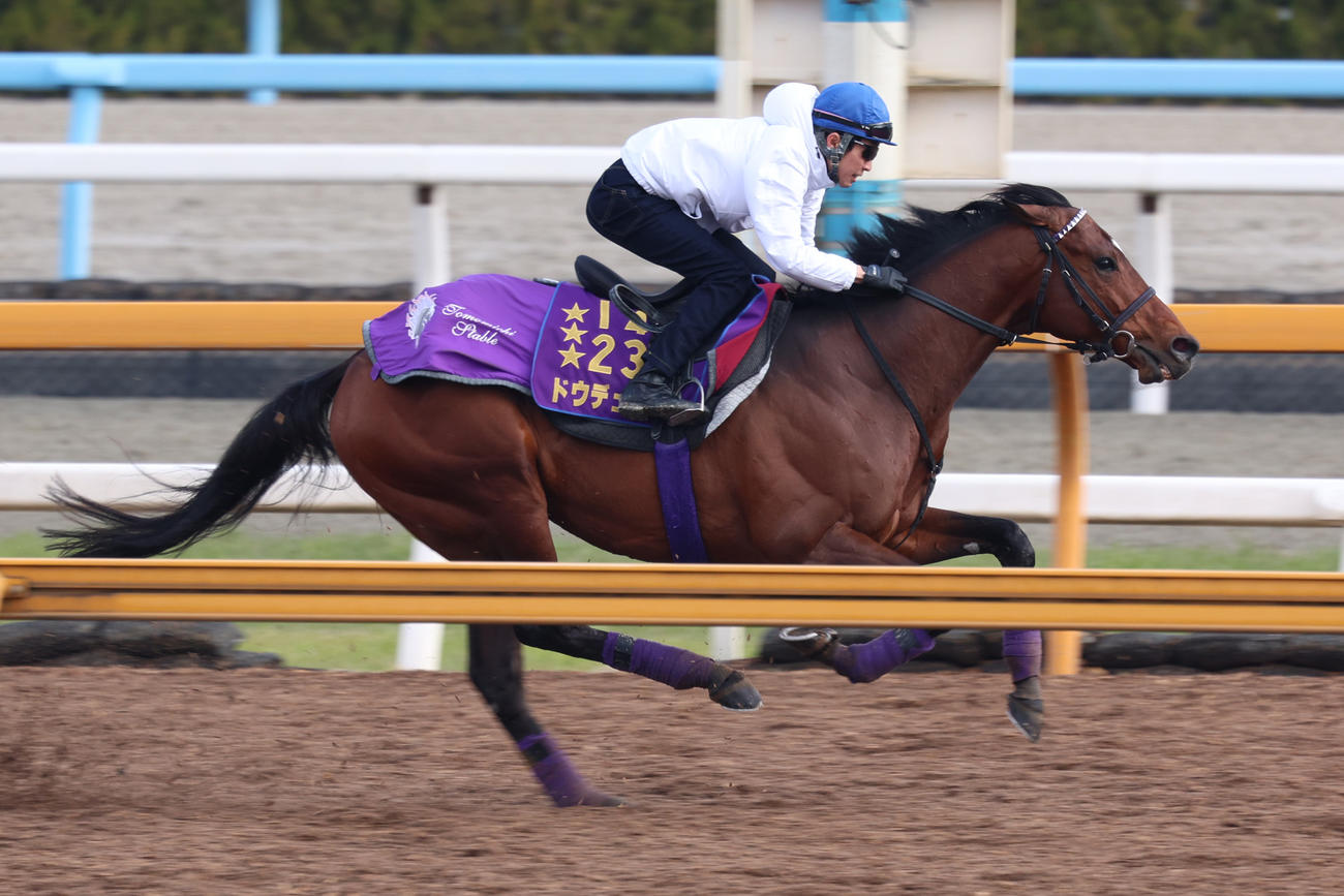 武豊騎手が騎乗し、Cウッドで併せ馬に先着するドウデュース