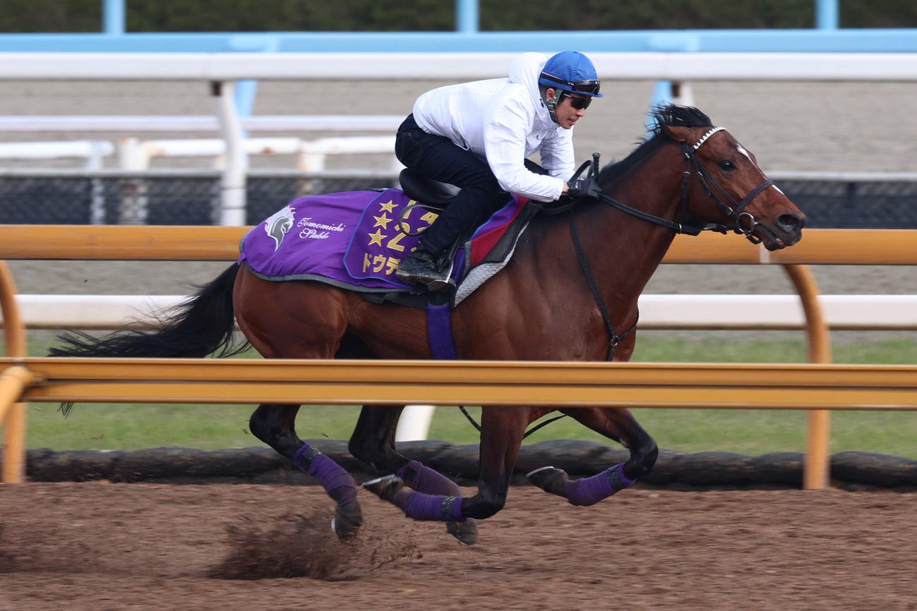 武豊騎手が騎乗し、Cウッドで併せ馬に先着するドウデュース