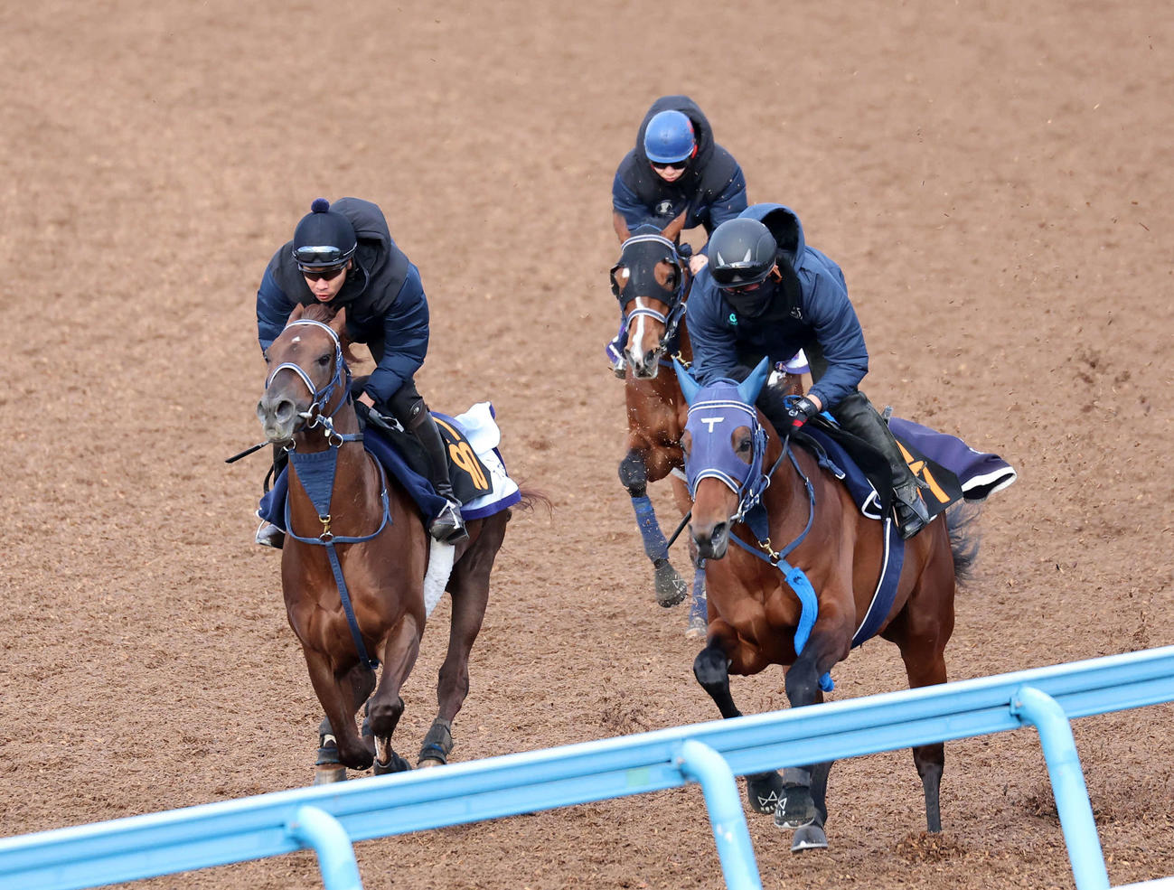 初めてブリンカーを着けて追い切られたソールオリエンス（中央）（撮影・鈴木正人）