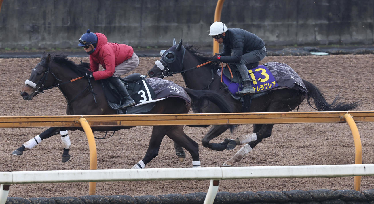 CWコースで併せ馬で追い切るナムラクレア（右）