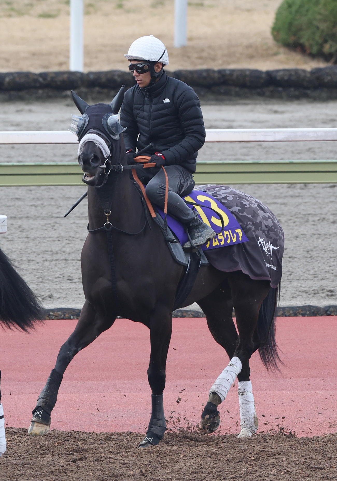 馬場入りするナムラクレア