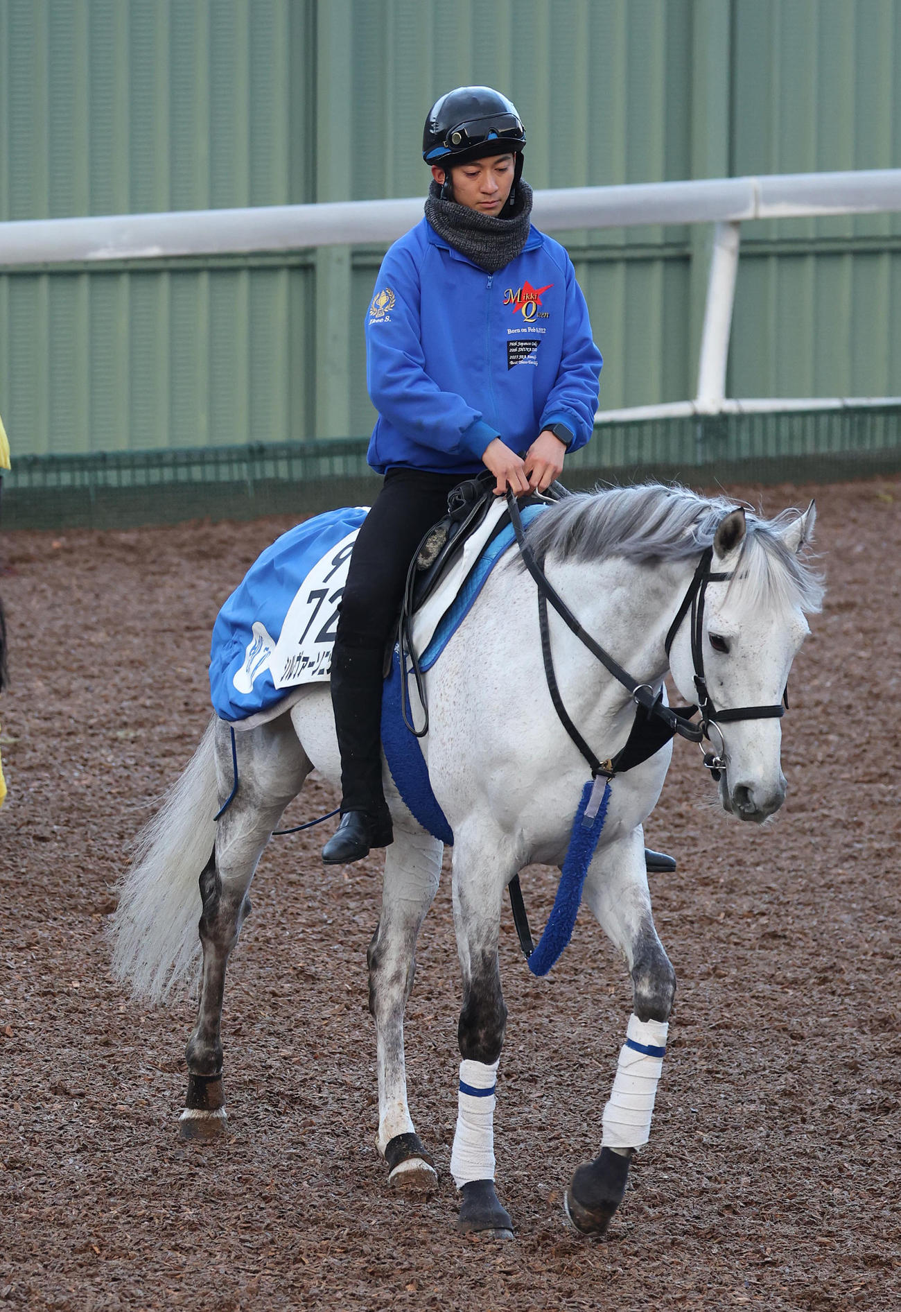 角馬場で運動するシルヴァーソニック（撮影・白石智彦）