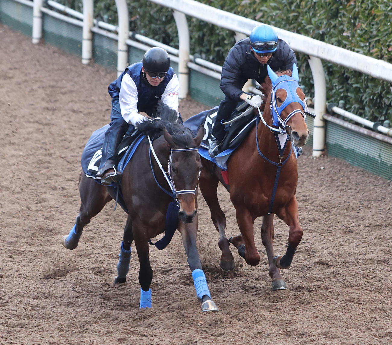 幸騎手を背にウォーターリヒト（右）は坂路でホウショウリナと併せて追い切られた（撮影・白石智彦）