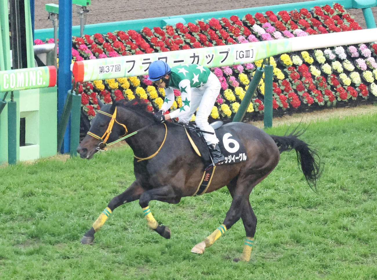 23年、ペガサスJSを制したビレッジイーグル