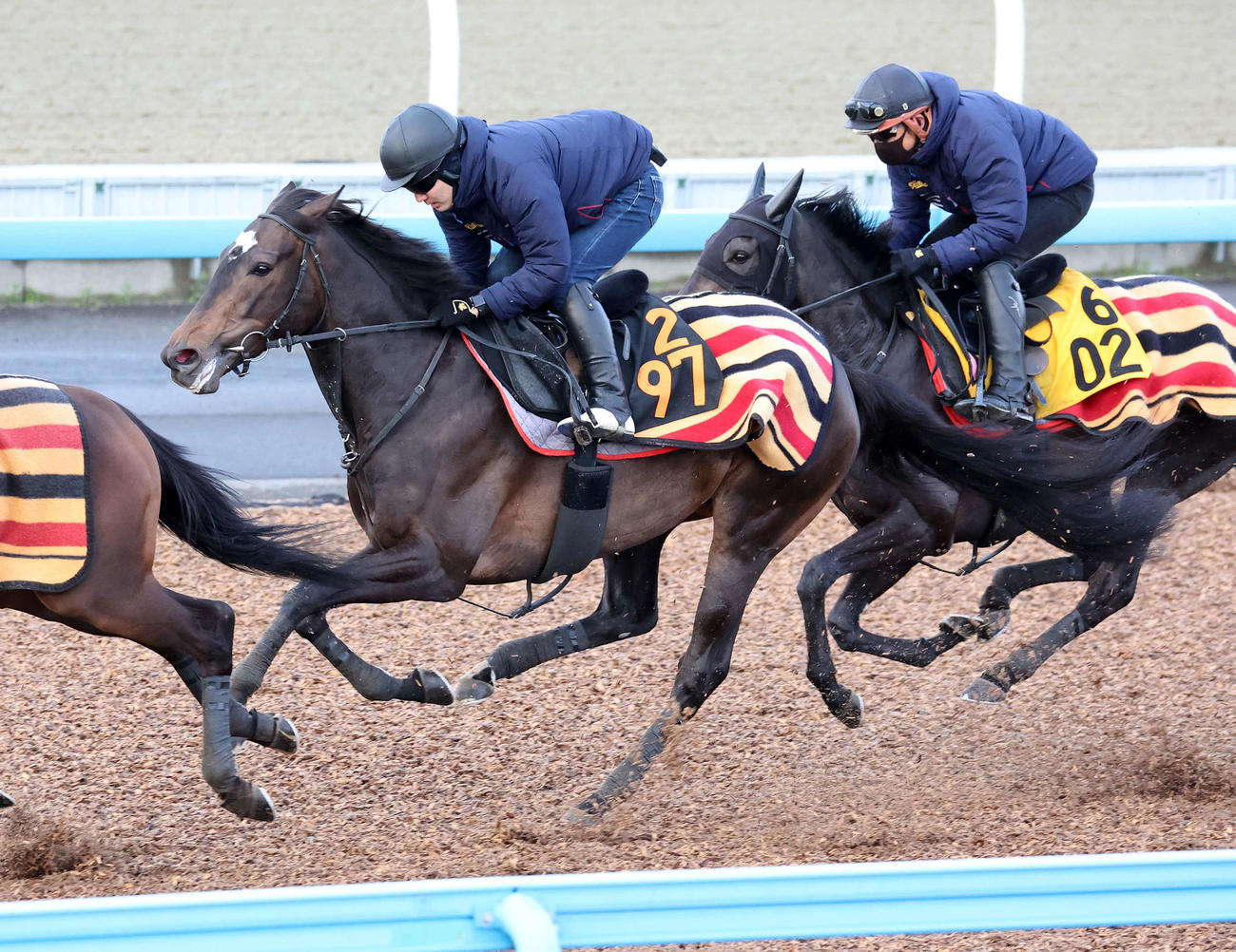美浦ウッドで併せて追い切るカンティアーモ（左）（撮影・鈴木正人）