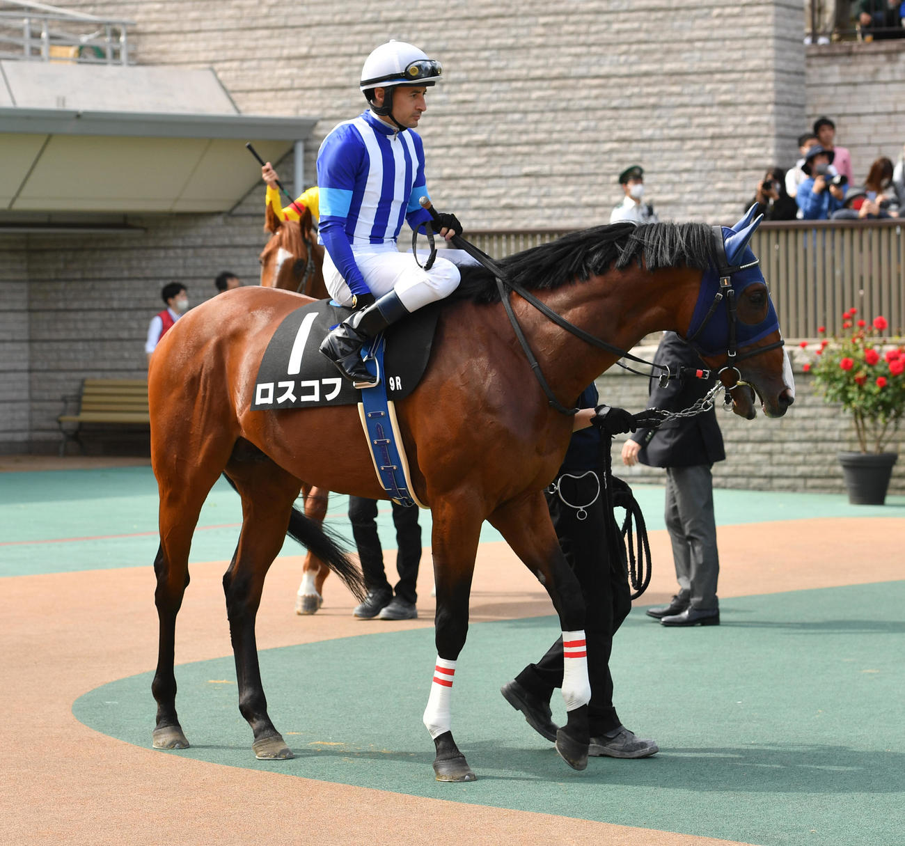 ロスコフ（2023年4月撮影）
