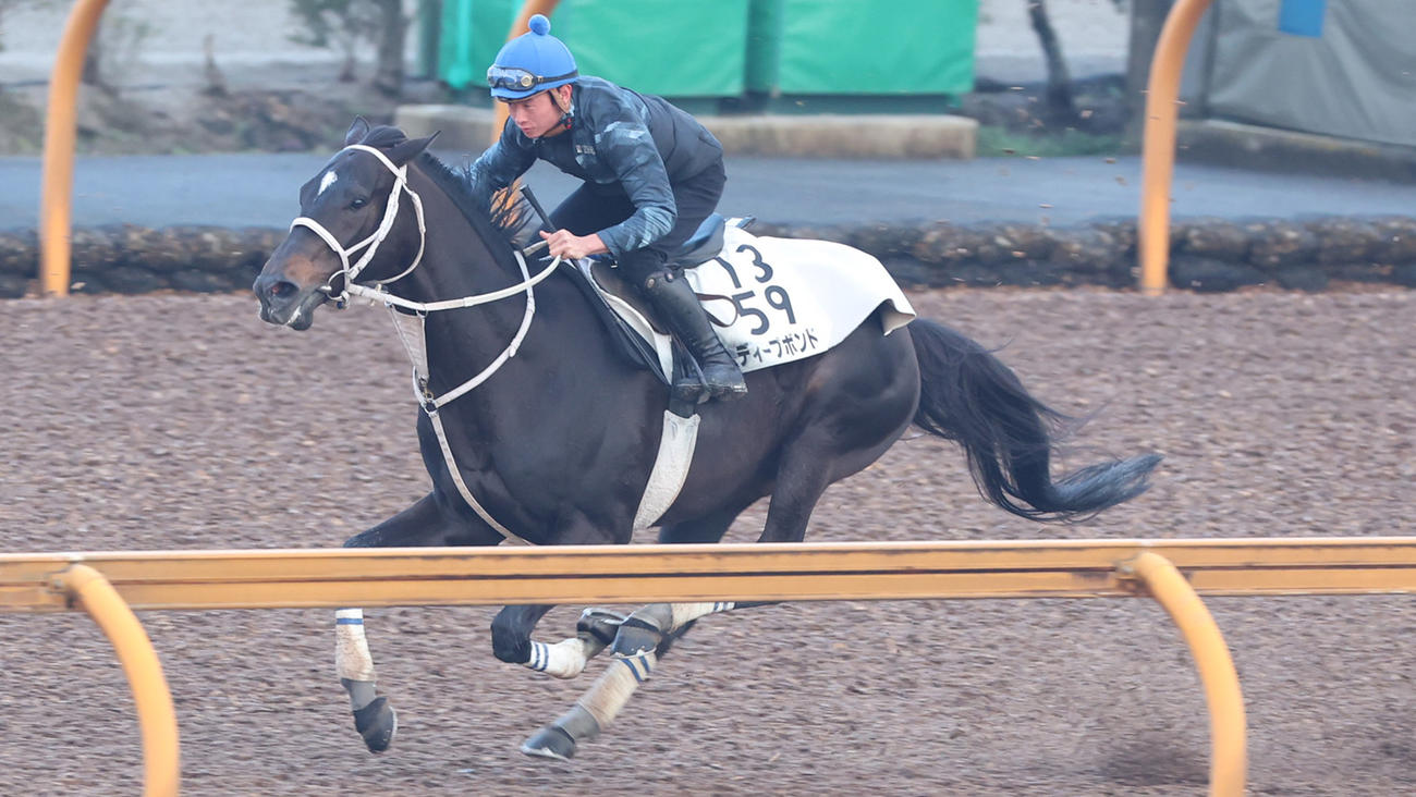 岩田望騎手を背にCウッドコースで追い切るディープボンド