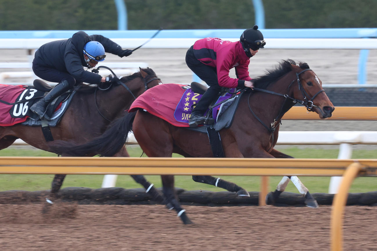併せ馬に先着するリバティアイランド（右）