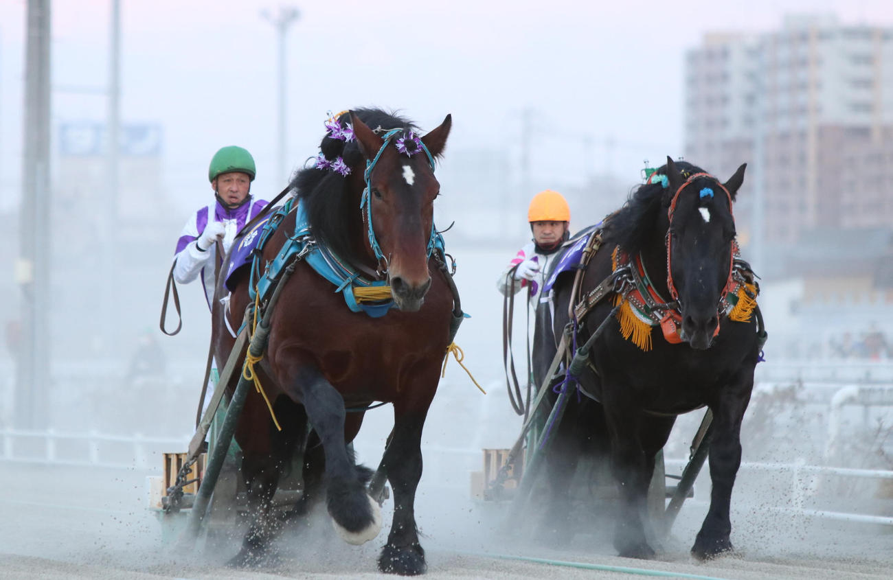 ばんえい競馬