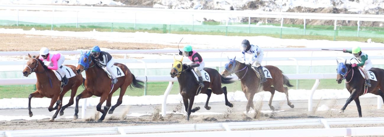 デビューへの切符を目指して駆ける2歳馬たち（撮影・奥村晶治）