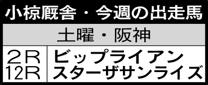 小椋厩舎・今週の出走馬